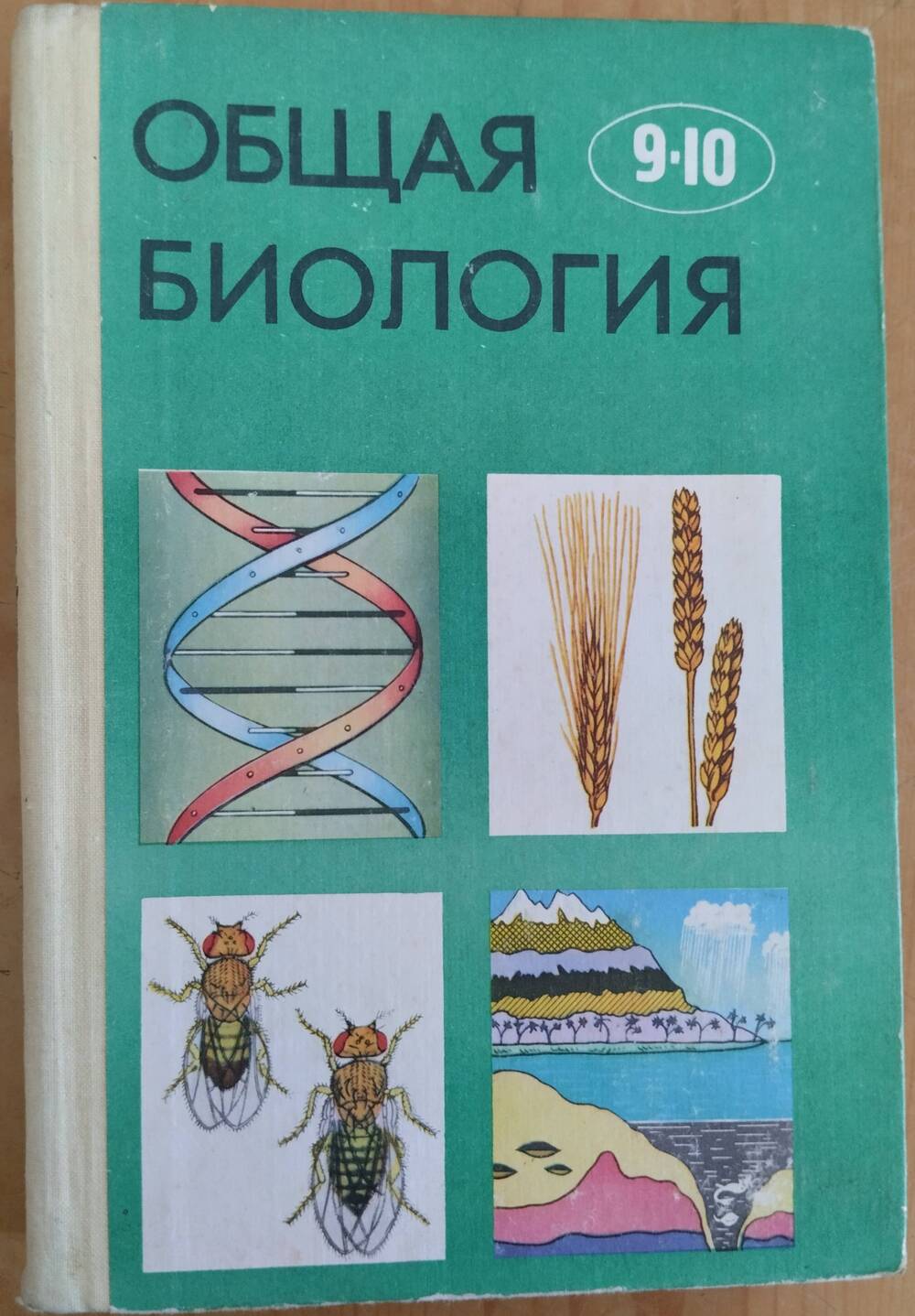 Общая биология для 9-10 классов, 304 стр.
