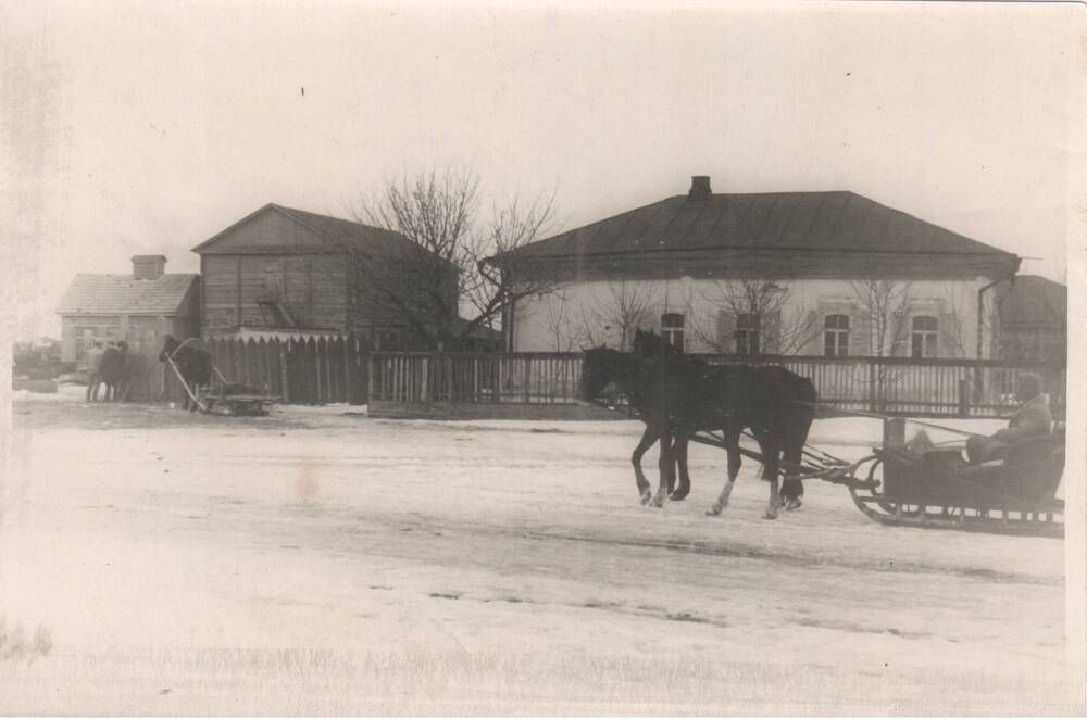 Фото. Заготовка дров, 1930-е гг.