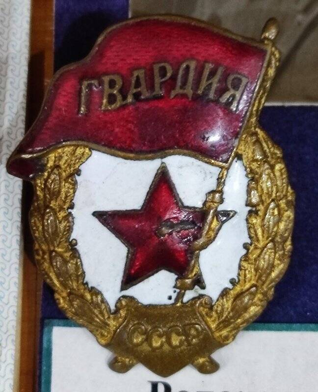 Знак нагрудный «Гвардия» Рогожкина Ивана Константиновича