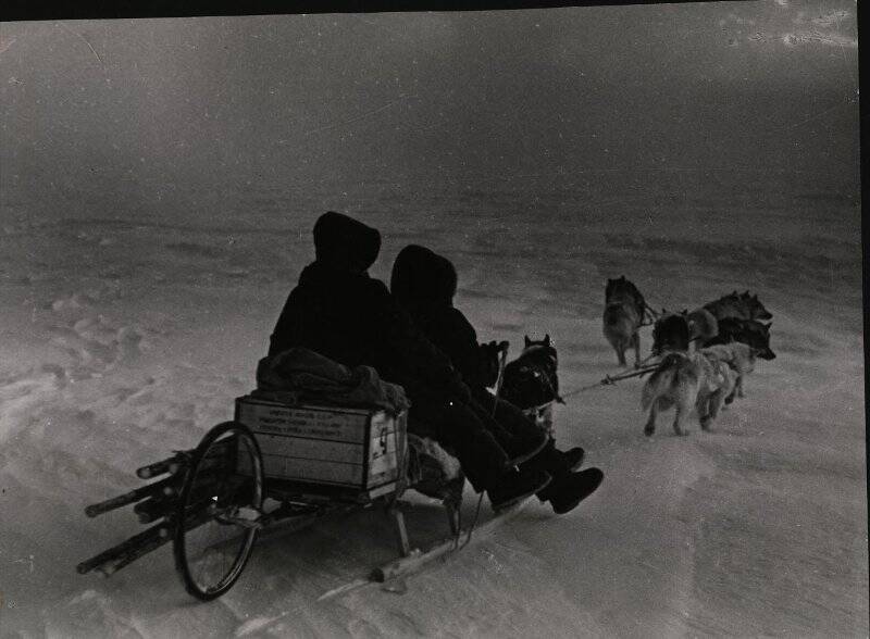 Фотография. Наземный транспорт Советских антарктических экспедиций. Собачья упряжка. Обсерватория Мирный. 4-я САЭ.