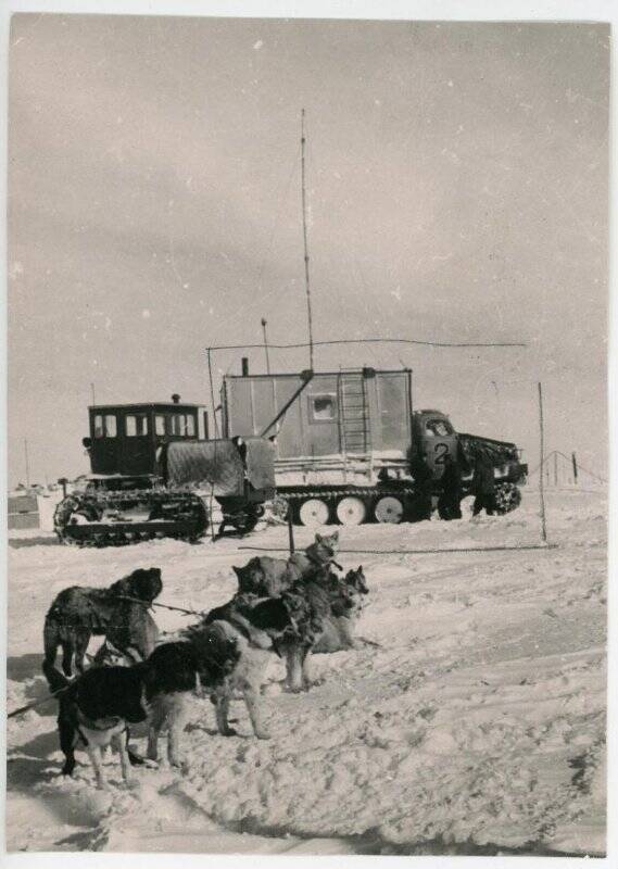 Фотография. Наземный транспорт Советских антарктических экспедиций. Собачья упряжка, трактор, вездеход. Обсерватория Мирный. 2-я КАЭ.