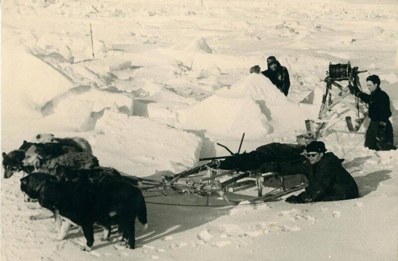 Фотография. На припайном льду во время гидрографических промеров. Собачья упряжка подтягивает вьюшку для измерения глубины.