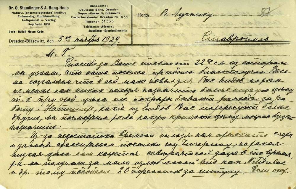 Письмо на имя В.Н. Лучника из Дрездена. 05.11.1929 г.