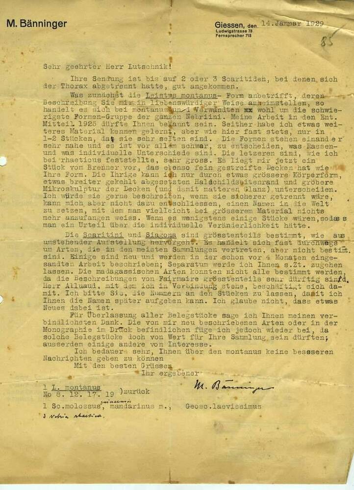 Письмо на имя В.Н. Лучника из Гисена. 14.01.1929 г.