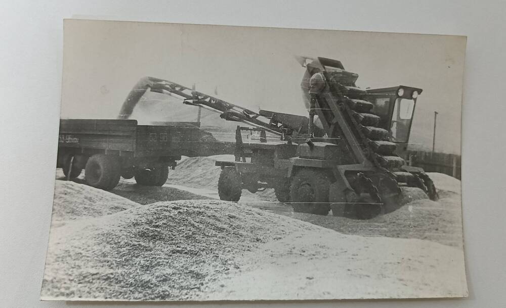 Фотография зернотока отделения №1 Орджоникидзевского зерносовхоза, погрузка зерна конвейером в грузовую машину. 1974 год.