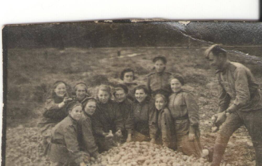 Фото. На уборке картофеля в армии 1943г. с.Алексеевка.