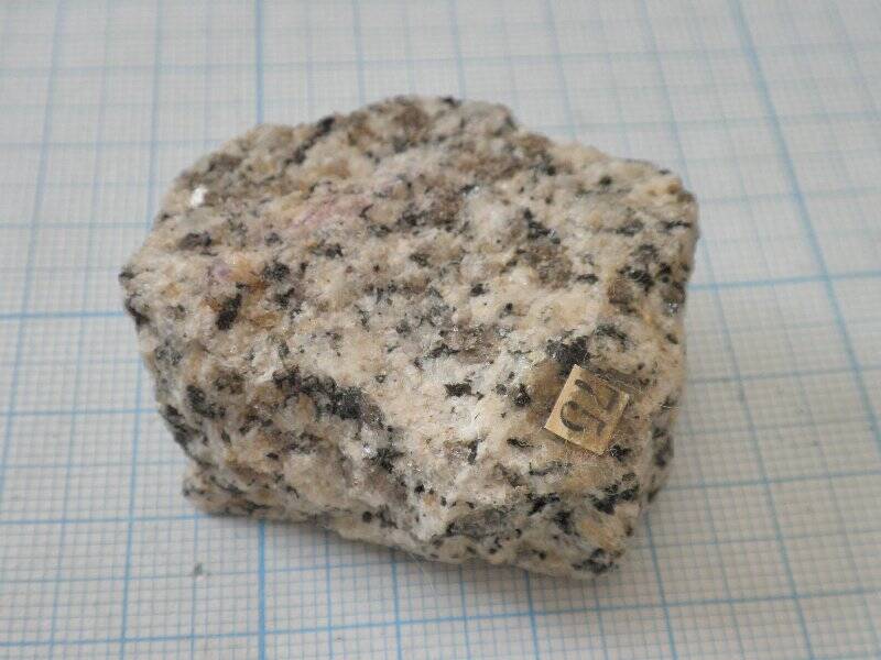 Горная порода. Диорит, из коллекции  минералов и горных пород