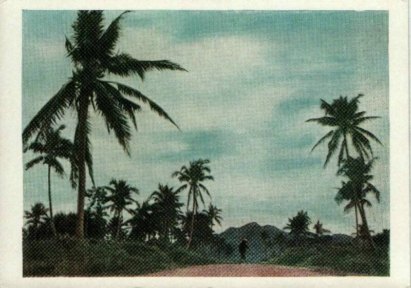 Фотооткрытка почтовая «Тропический пейзаж острова Хайнань»
