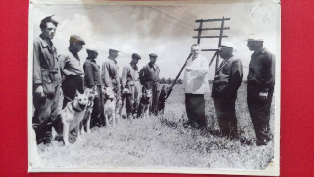 Фото черно-белое групповое в рост.Сюжет: слева стоит шеренга кинологов с собаками, напротив трое мужчин. Справа 2-й стоит Панченко Н.М.