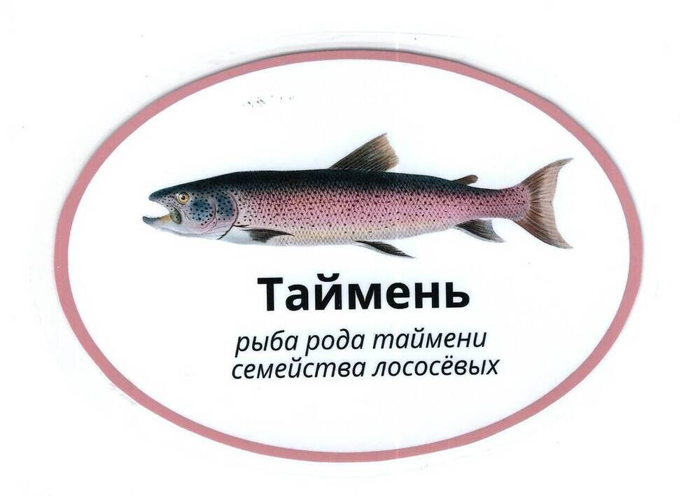Карточка «Удачная рыбалка»  для игры – ходилка «Я знаю свой Богучанский район».