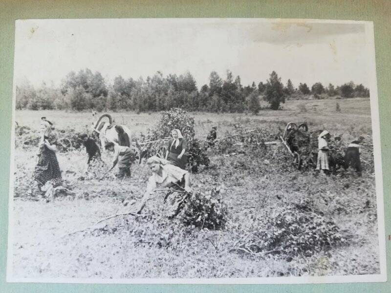 Фотография из серии «Дела и будни молодежи Усть-Ордынского нац.округа».