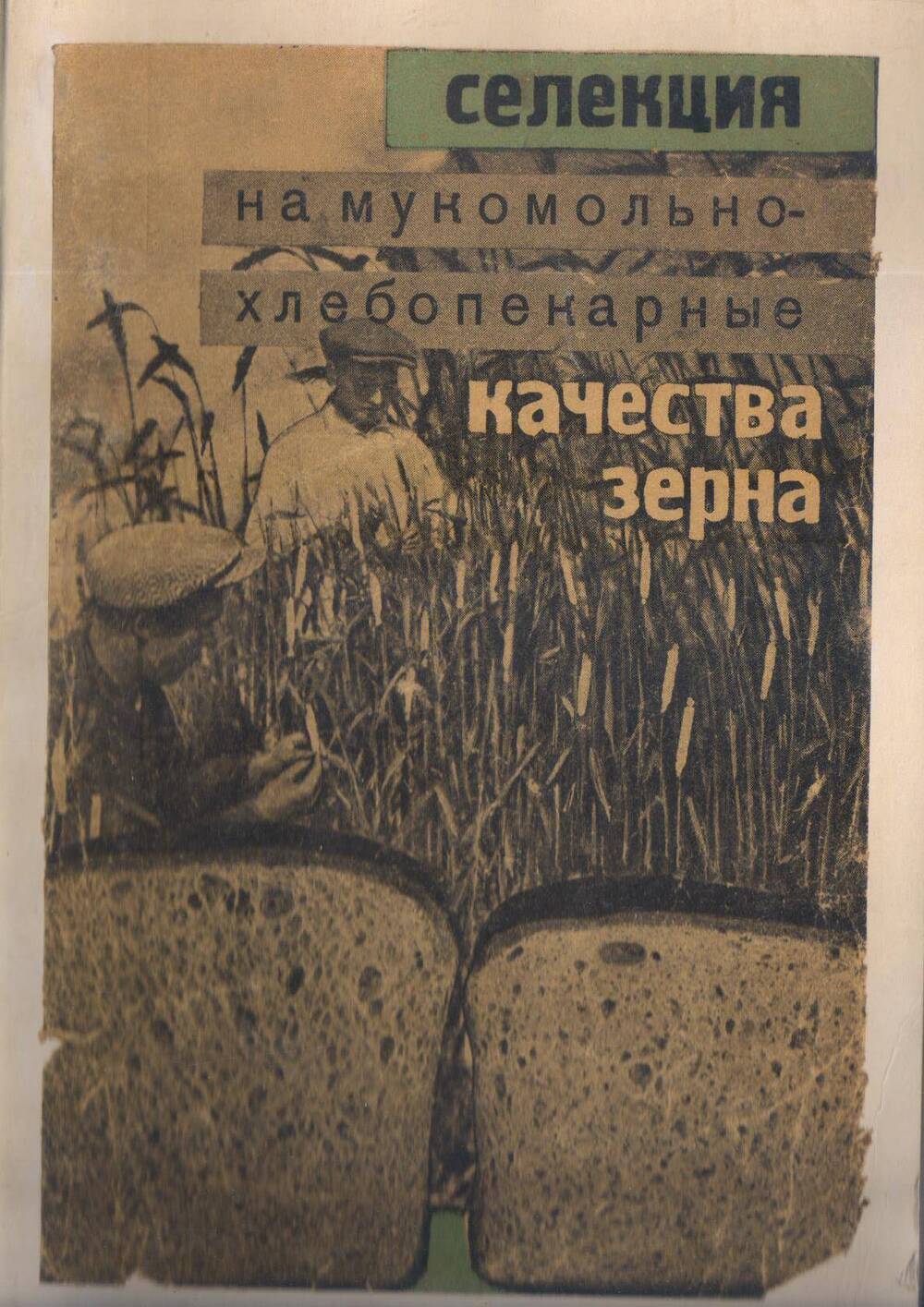П.Н. Шибаев и А.И. Марушев. Селекция на мукомольно-хлебопекарные качества зерна.  Москва : Сельхозгиз, 1933