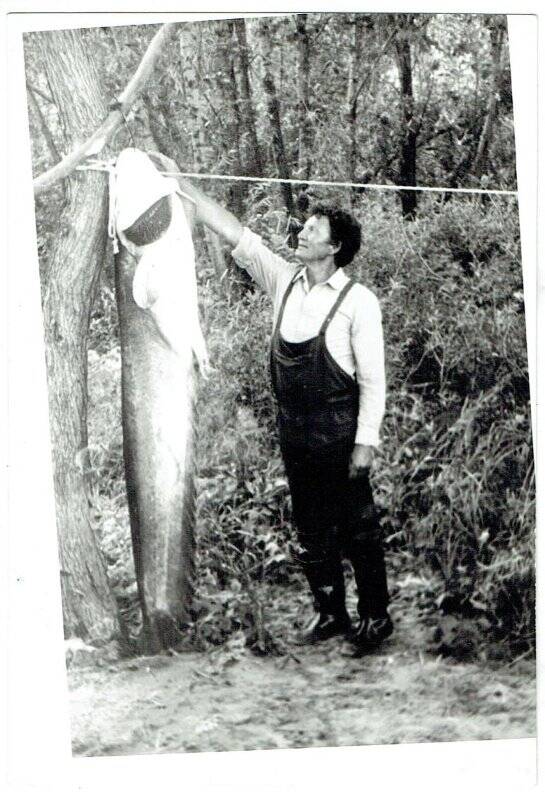 Фотография. Гадельшин Х.Х. на рыбалке измеряет длину огромной рыбы
