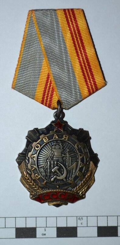 Орден «Трудовая Слава» № 300434, Совка М.В.