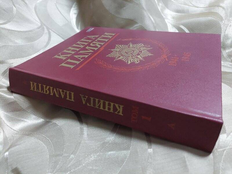 Книга. Книга памяти НСО, том-1.