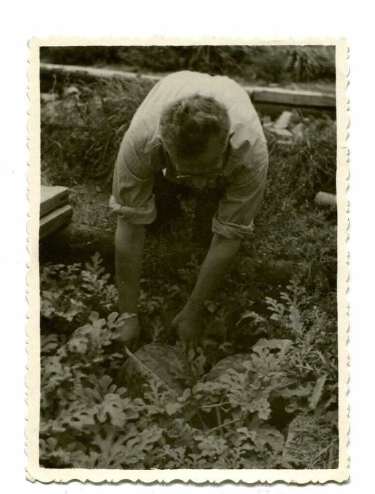 Фотография. Верховский Николай Александрович.