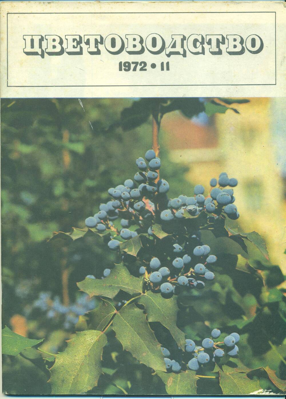 Журнал  «Цветоводство» № 11, 1972 г.