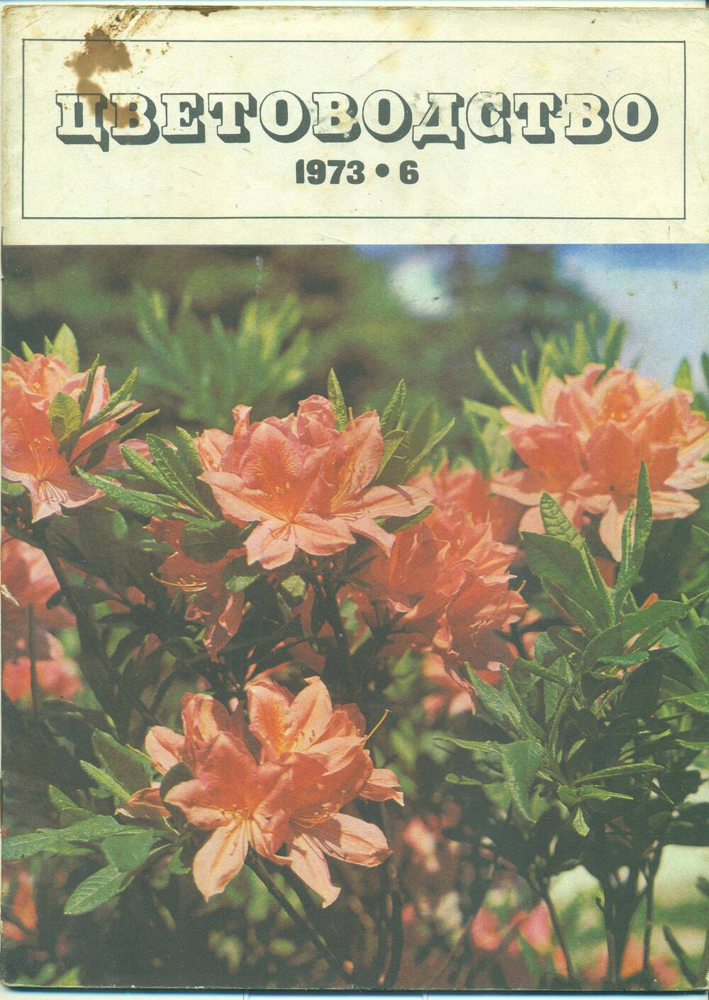 Журнал  «Цветоводство» № 6, 1973 г.