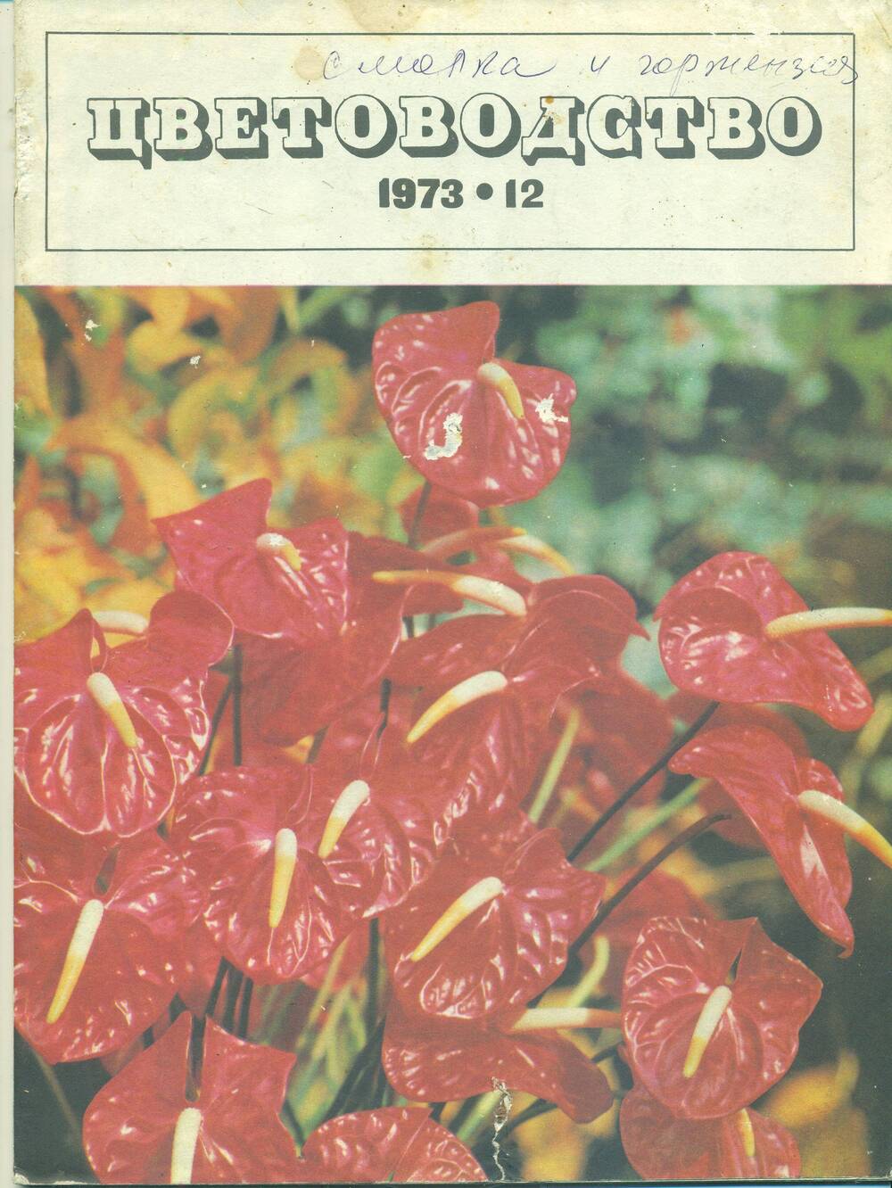 Журнал  «Цветоводство» № 12, 1973 г.