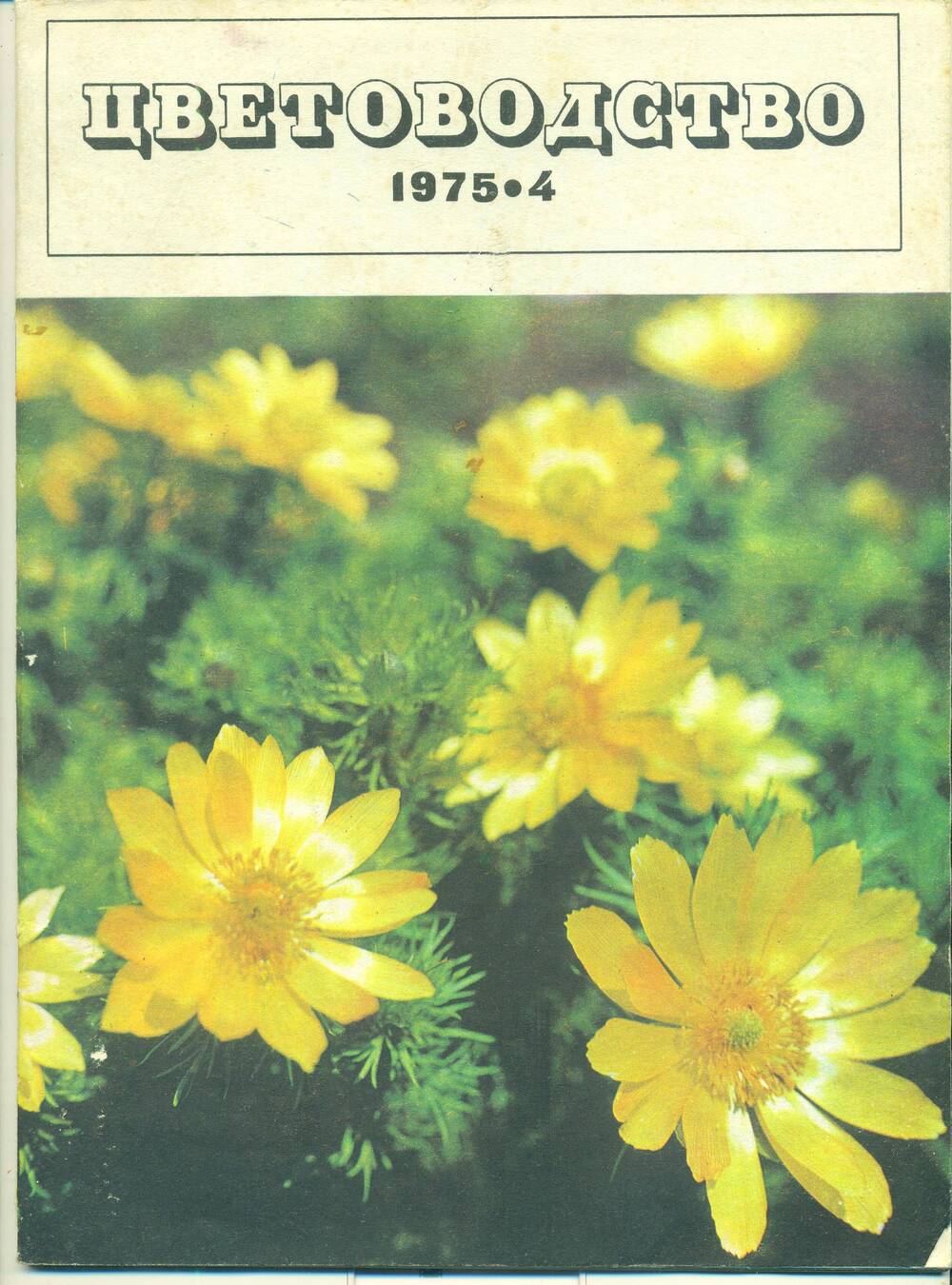 Журнал  «Цветоводство» № 4,  1975 г.