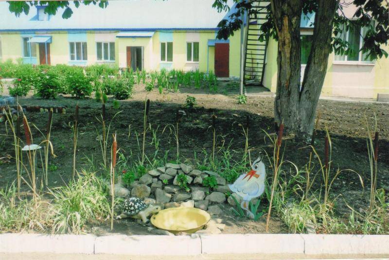 Фотография цветная видовая. Приусадебный участок детского сада №12 г. Вольска.