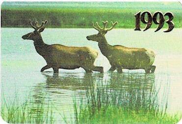 Карманный календарь, 1993 г.
