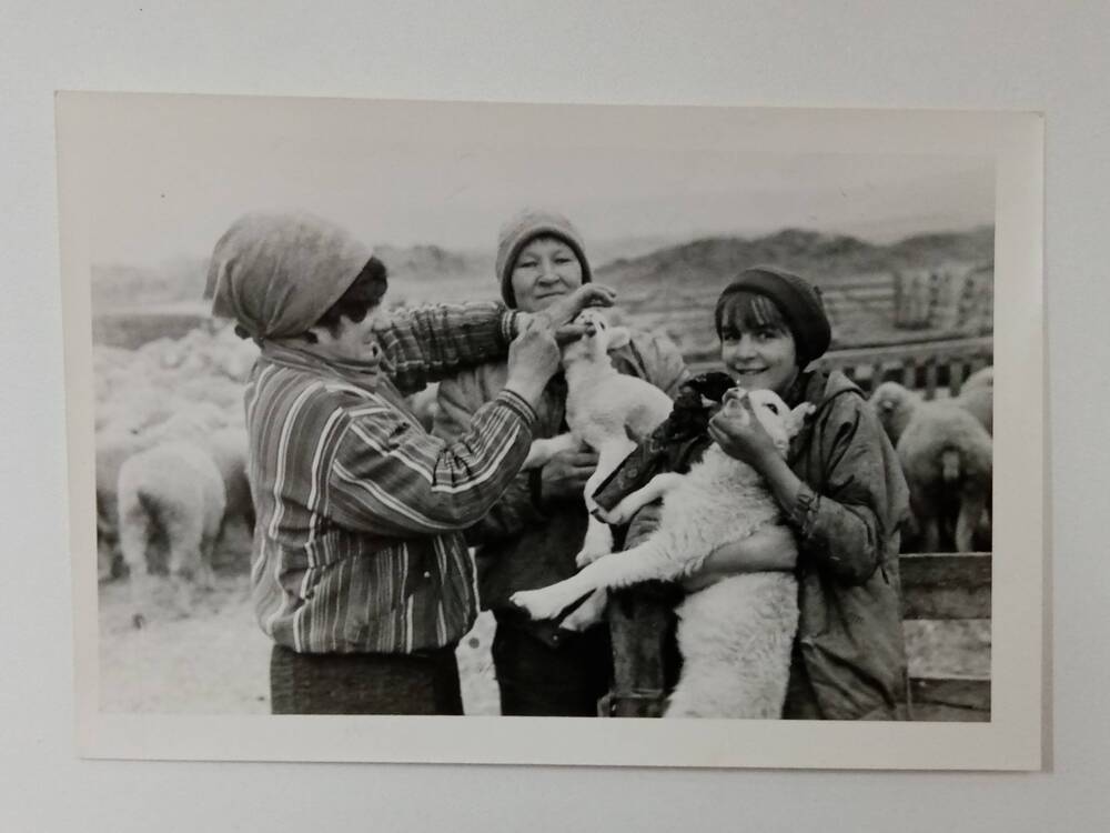 Фотография Голубевой Раисы Дмитриевны (первая слева), жительницы посёлка Копьёво, с работниками отделения №1 Орджоникидзевского зерносовхоза,  проводят санитарную обработку ягнят на окоте овец.