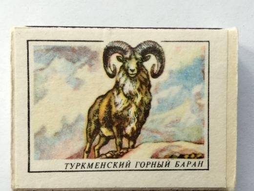 Коробка спичечная сувенирного набора  «Занесены в Красную книгу», «Туркменский горный баран»