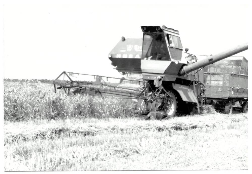 Фотография.Уборка урожая  на полях Гиагинского района.