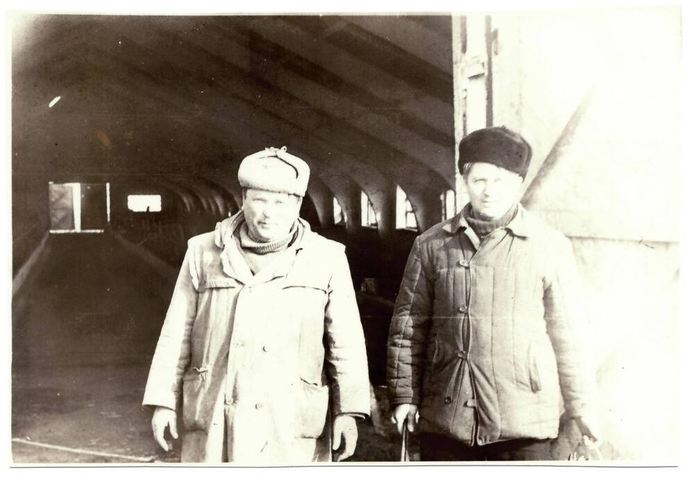 Фотография. Шеин В.Н. с товарищем - рабочие откормкомплекса ст. Гиагинской.