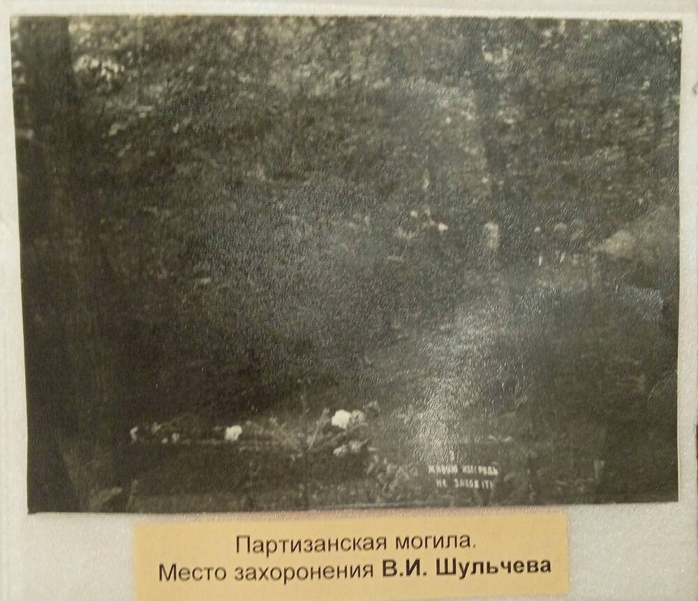 Фото. Партизанская могила поэта - партизана Шульчева В.И. (копия)