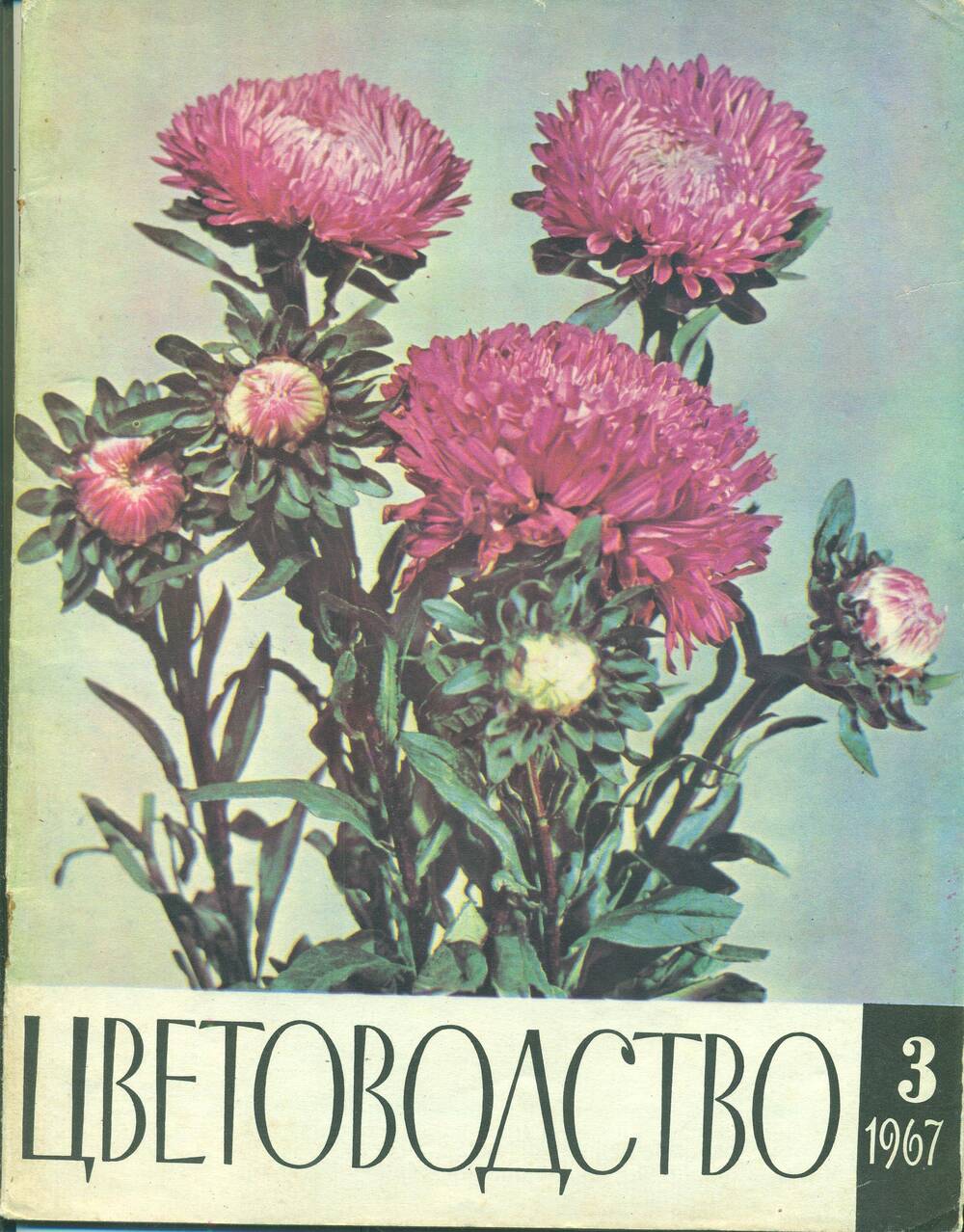 Журнал  «Цветоводство» №3. 1967 г.