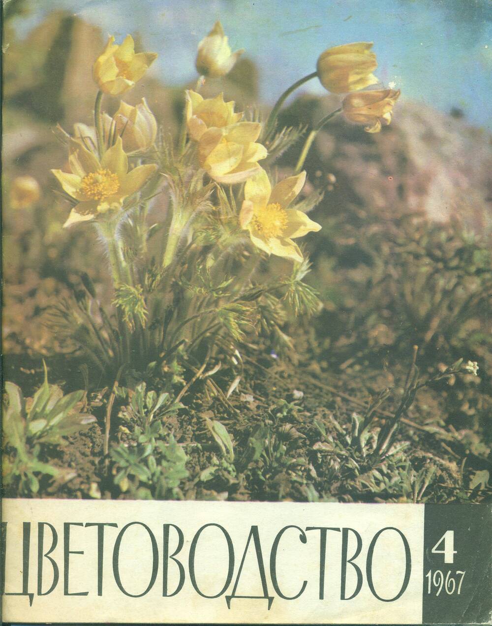 Журнал  «Цветоводство» №4. 1967 г.