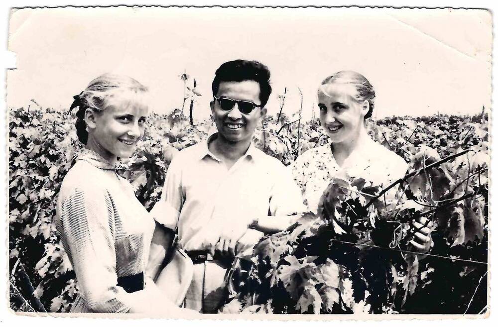 Фотография черно-белая. Колхозники знакомят вьетнамского делегата с виноградниками. 