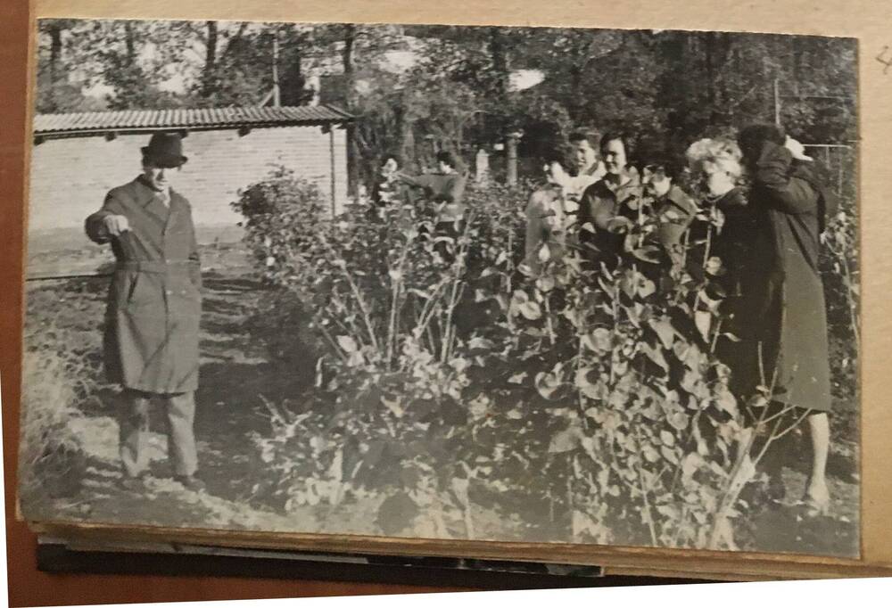 Фото черно-белое, горизонтальное. На фото пришкольный сад.