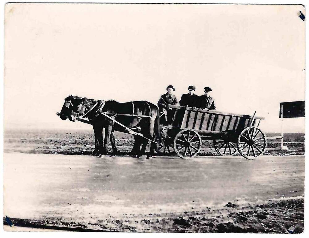 Фотография черно-белая. На дороге изображена деревянная телега, запряженная парой лошадей. На телеге трое мужчин. По середине Слепченко А.Ф.