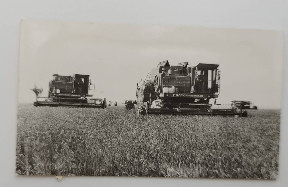 Фотография сюжетная  Уборка зерновых культур на переднем плане комбайны «Дон-1500» в совхозе «Бургун Маджарский» конец 20 в.