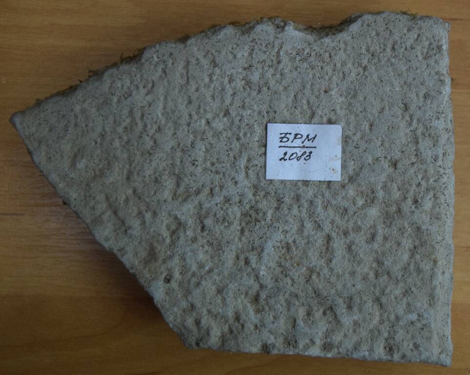 Плисты фрагмент, песчановая с отбитой гранью (боковой). Рабочая поверхность не ровная и носит следы зашлифованности.