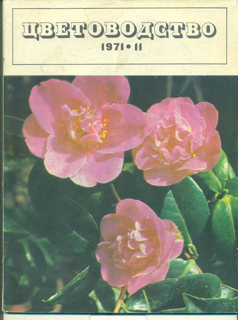 Журнал  «Цветоводство» № 11. 1971 г.