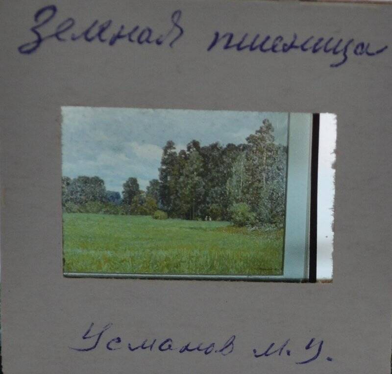 Слайд с картины «Зеленая пшеница». М.У.Усманов.