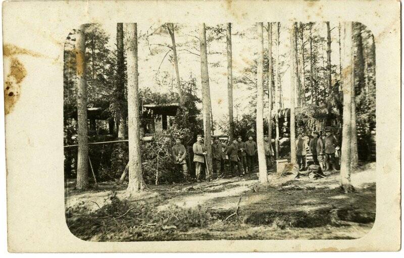Немецкие военнослужащие у замаскированной позиции в лесу. Открытка