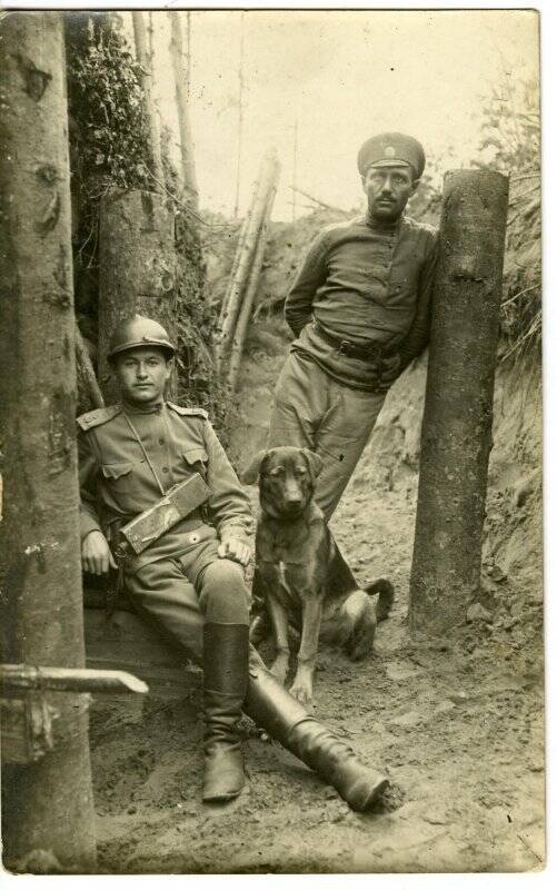 Военные 151-го пехотного Пятигорского полка с собакой. Открытка