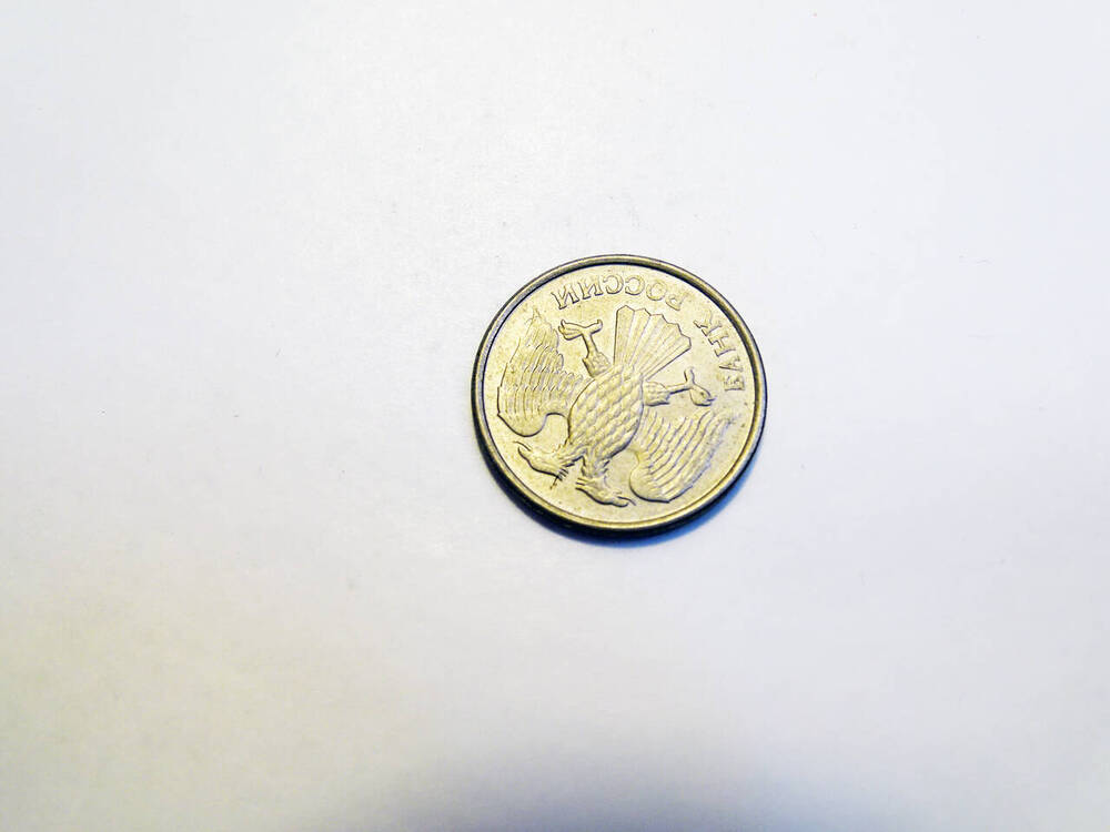 Монета 10 рублей 1993 г.
