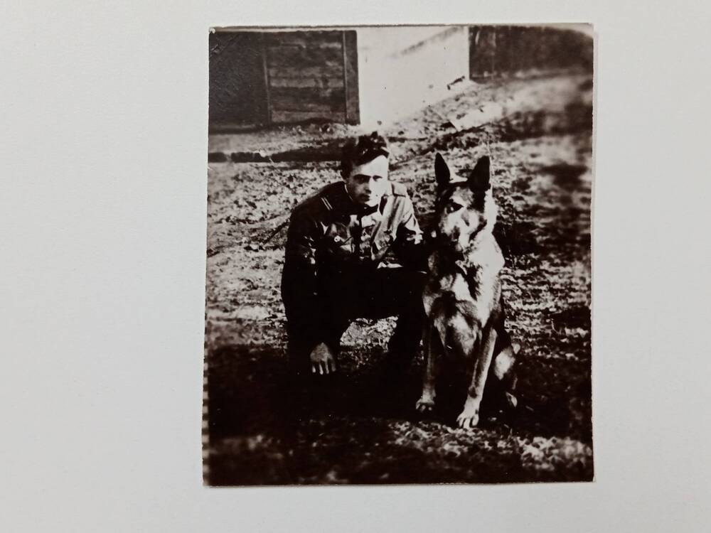 Фотография Колодкина Николая Ивановича – пограничника-собаковода со служебной собакой Ураном, обученной им для несения пограничной службы. 1968 год.