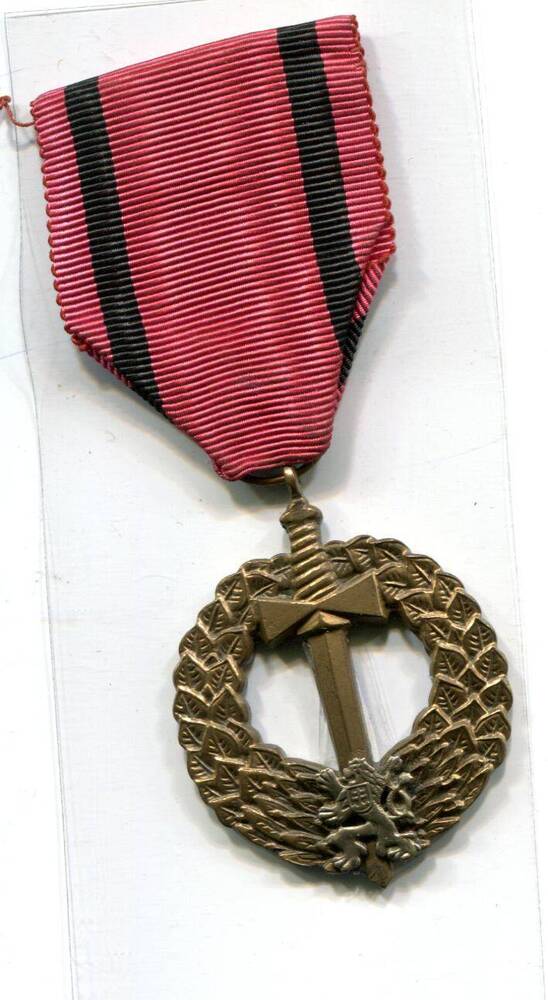 Медаль Чехословакия военная памятная . Длоуги И.И.