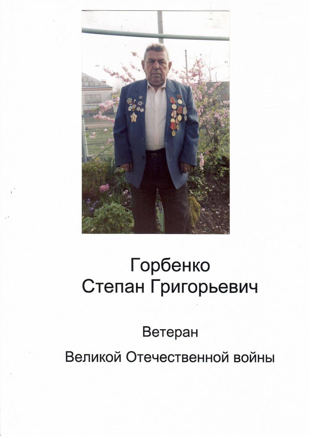 Фото цветное. Горбенко Степан Григорьевич-ветеран ВОВ.
