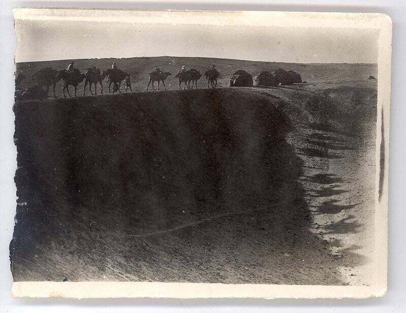Фотография ч/б. Съемка фильма «Черная пасть» (реж. А.Разумный). караван верблюдов в пустыне. 1935 г.