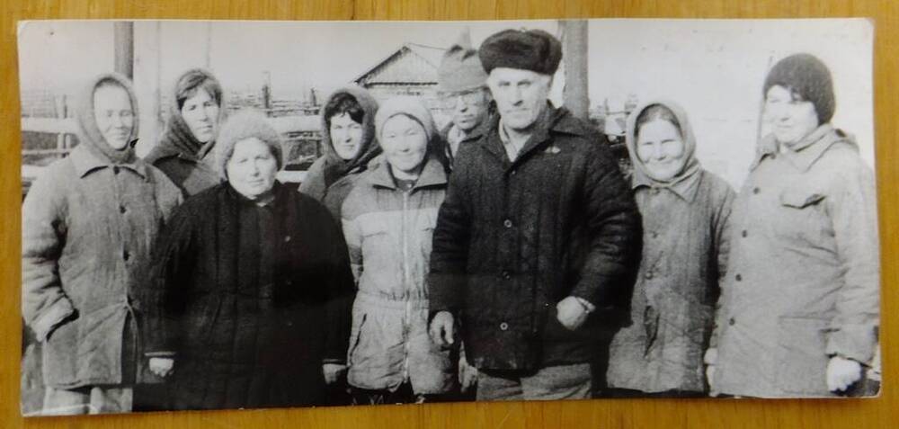 Фото. Шутихинская ферма совхоза «Мирный», 1980-е годы.