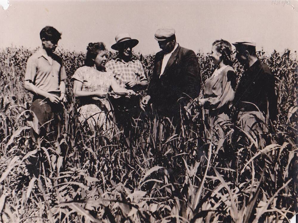 Фотография. Рогачикова Полина Ивановна, секретарь парторганизации зерносовхоза Медвеженский, с коллегами в кукурузном поле.