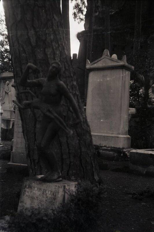 Негатив «Надгробие в виде статуи женщины с ребенком на фоне дерева».